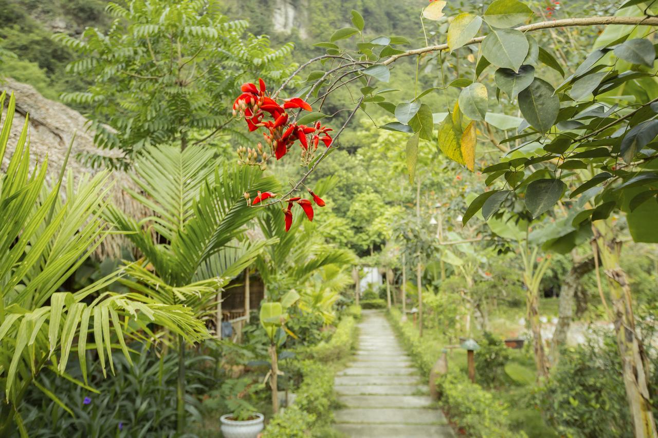 Tam Coc Rice Fields Resort Ниньбинь Экстерьер фото